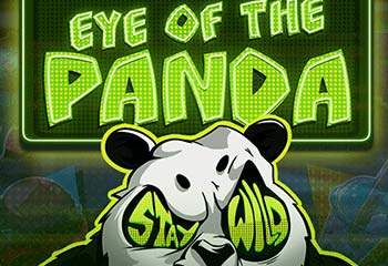 Eye of the Panda